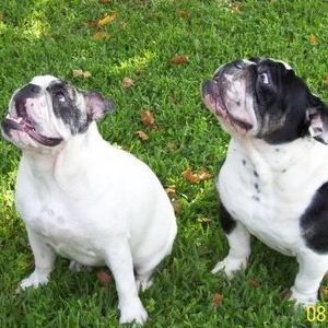 Meet your Posher, Patty